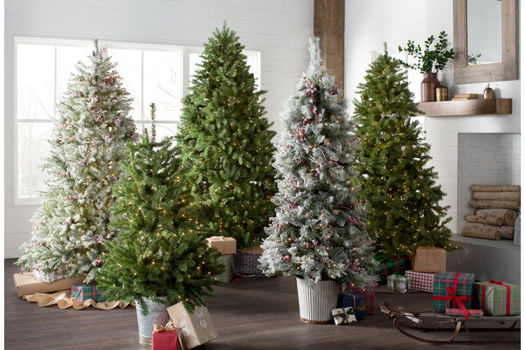 Christmas Tree Types Wayfair